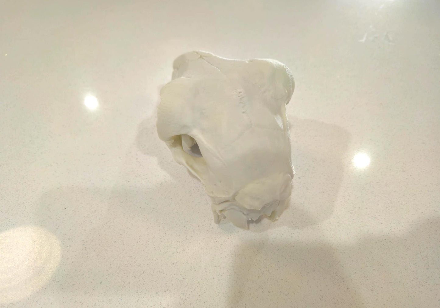 Sheep Skull Ornament 3d printed 1:1 size